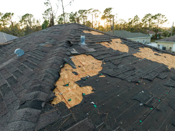 Best Rubber Roofing (EPDM, TPO)  in Smyrna, GA